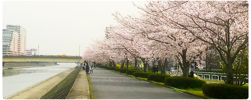 キービジュアル